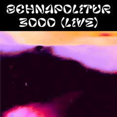 Schnapolitur3000 live