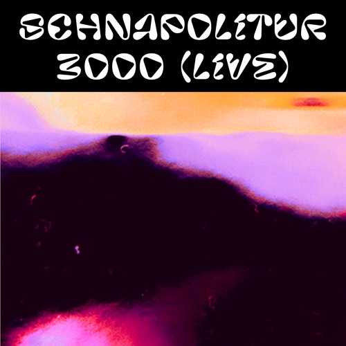 Schnapolitur3000 live