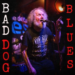 Bad Dog Blues by Joe O Callaghan