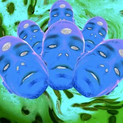 RICKY HIL - Dosed Out High
