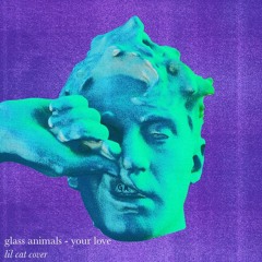 glass animals - your love (lil cat cover)