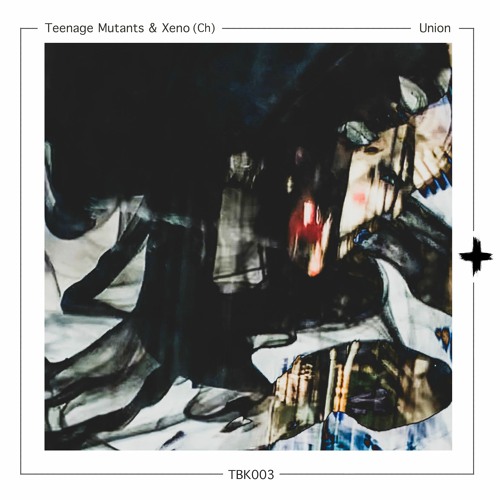 Teenage Mutants & Xeno(Ch) - Union (Original Mix)