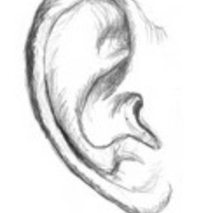 New bat sounds (Fledermäuse Biokulturhof 10 25)