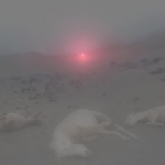 the fog outside the rave