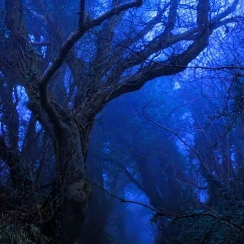 Nobot - Logjam