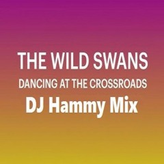 Wild Swans - Dancing At The Crossroads (DJ Hammy Mix)
