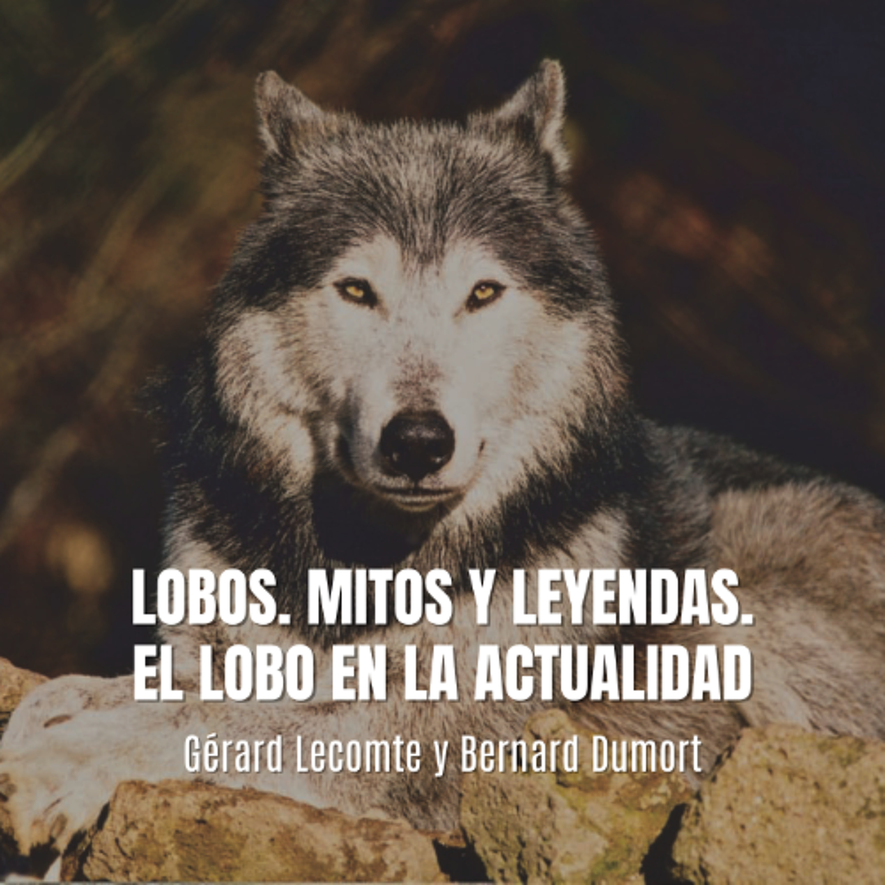Devecchi Ediciones
