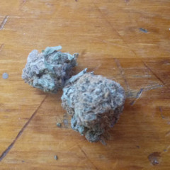 Drug head 🌲💊🥤 | made on the Rapchat app (prod. by lil 4oe da kid)