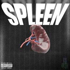 Icy Sicko - Spleen