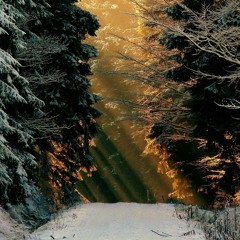 Mental Forest 933Mix