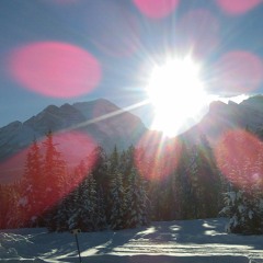 Continuous New Beginnings