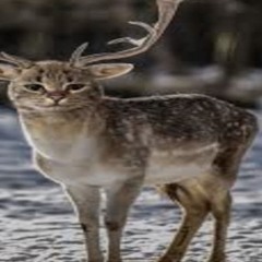 i hope ur happy now (v2)