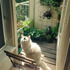 infatuated with life