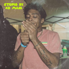 XD - Stupid