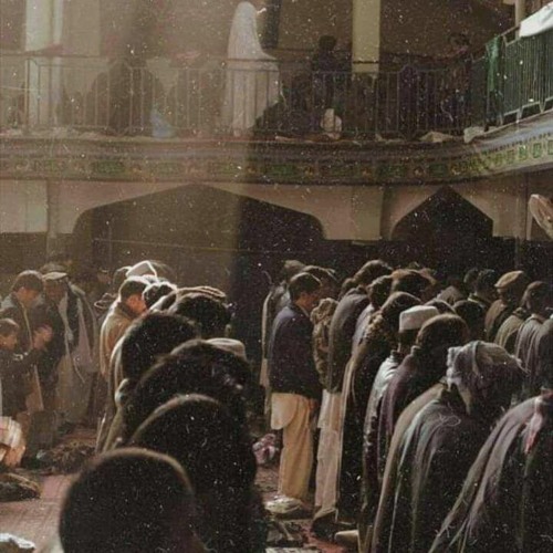 سورةُ فُصِّلت | إسلام صبحي