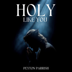 Peyton Parrish - Holy Like You