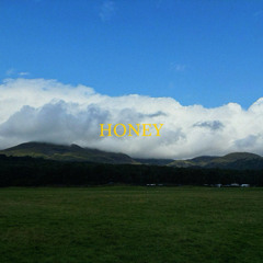 Honey (DEMO)