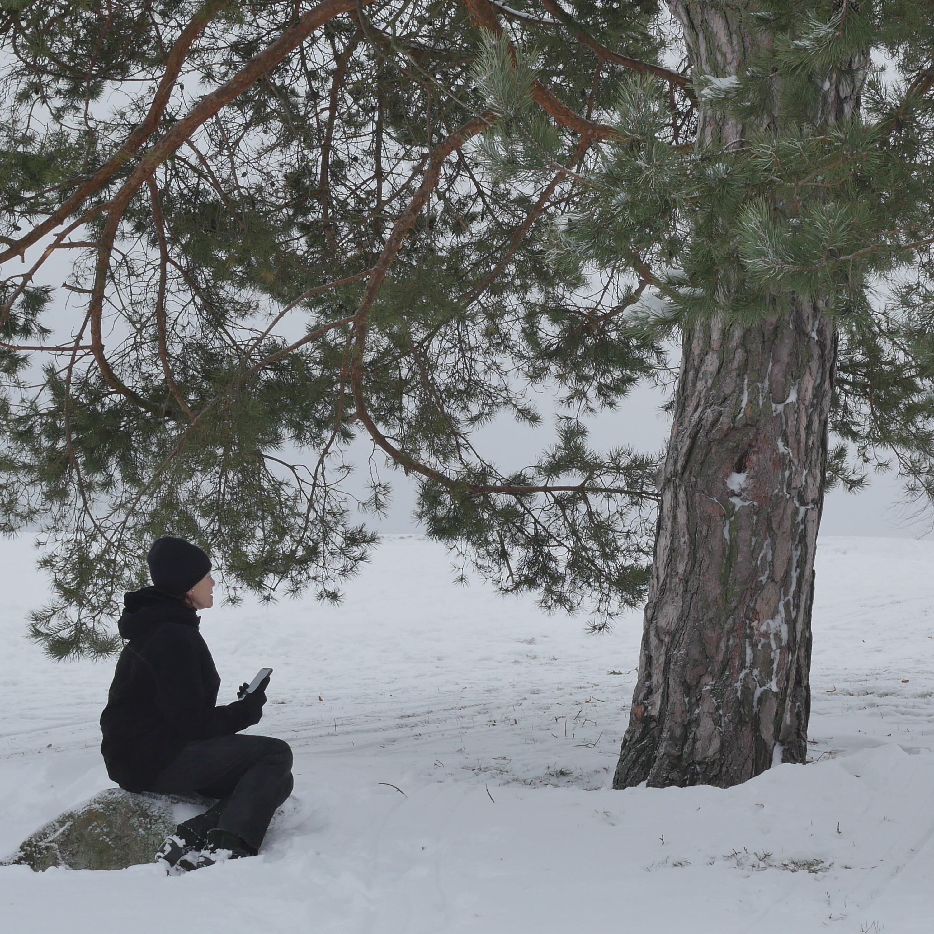 Pondering With A Pine In The Park - 21 episode artwork