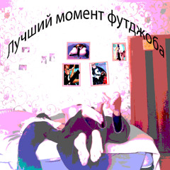 Сучки нафурии