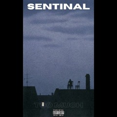 Sentinal-Too Much