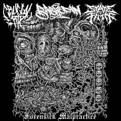 STATE OF FILTH : ENDLESS TORMENT (feat. Bashed In)