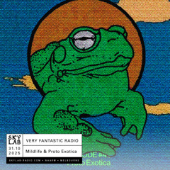 | VERY FANTASTIC RADIO | w/ Mildlife & Proto Exotica | E40