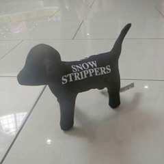 snow strippers - passionate highs(slowed)