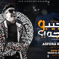مهرجان ايه مش هنجيبو حاجه " زياده كرامل " عصفوره وزير الاورج مكسر تيك توك