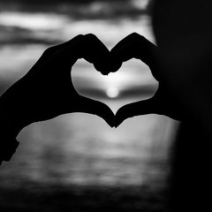 Love Is Everywhere (Wilco cover)