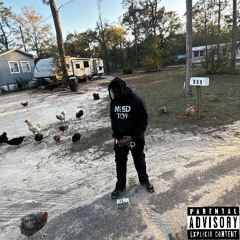Zone 6