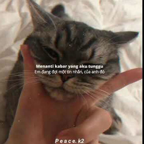 Bagaikan Langit ( TikTok )