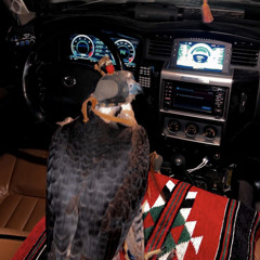 ᴹᴿᴹ لاتوصيني على شاهين