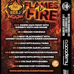 BRYAN GEE FT NAVIGATOR & FEARLESS @ UCOJ FLAMES & FIRE - 4/8/17