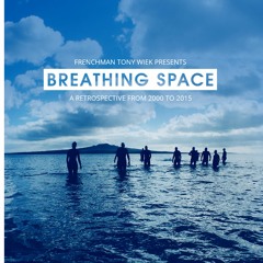 FRENCHMAN TONY WIEK - Policy of truth (Depeche mode cover)