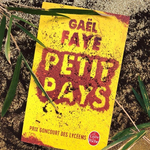 Stream "Petit Pays" Gael Faye - Livre audio - Non diffusé by Mégane  Martinel | Listen online for free on SoundCloud