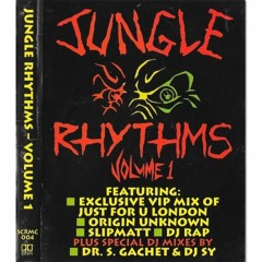 DJ Sy - Jungle Rhythms Volume 1 Mixtape