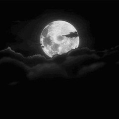 Noir Nightmares