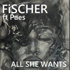 FiSCHER ft Junior PaesAll She Wants