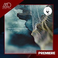 PREMIERE: Voices Of Valley & Nick Matthew - Into The Consiousness (Original Mix) [Us & Them Records]