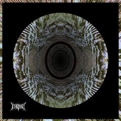 ETHERNATUS (WAF FESTIVAL)