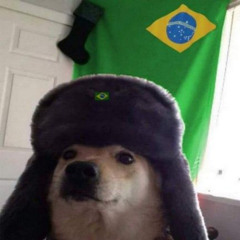 FAVELA LUV