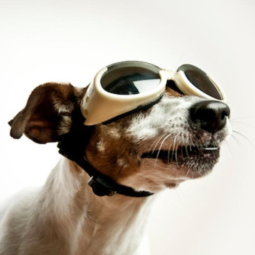 Vibin -> Grooving in 30 (Jungle DNB Mix)