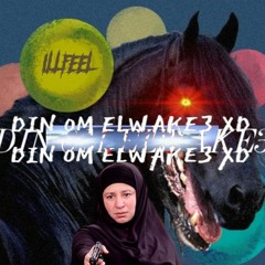 Din om elwake3 xD