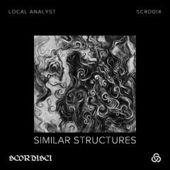 PREMIERE: Local Analyst - No Use For A Tender Hand