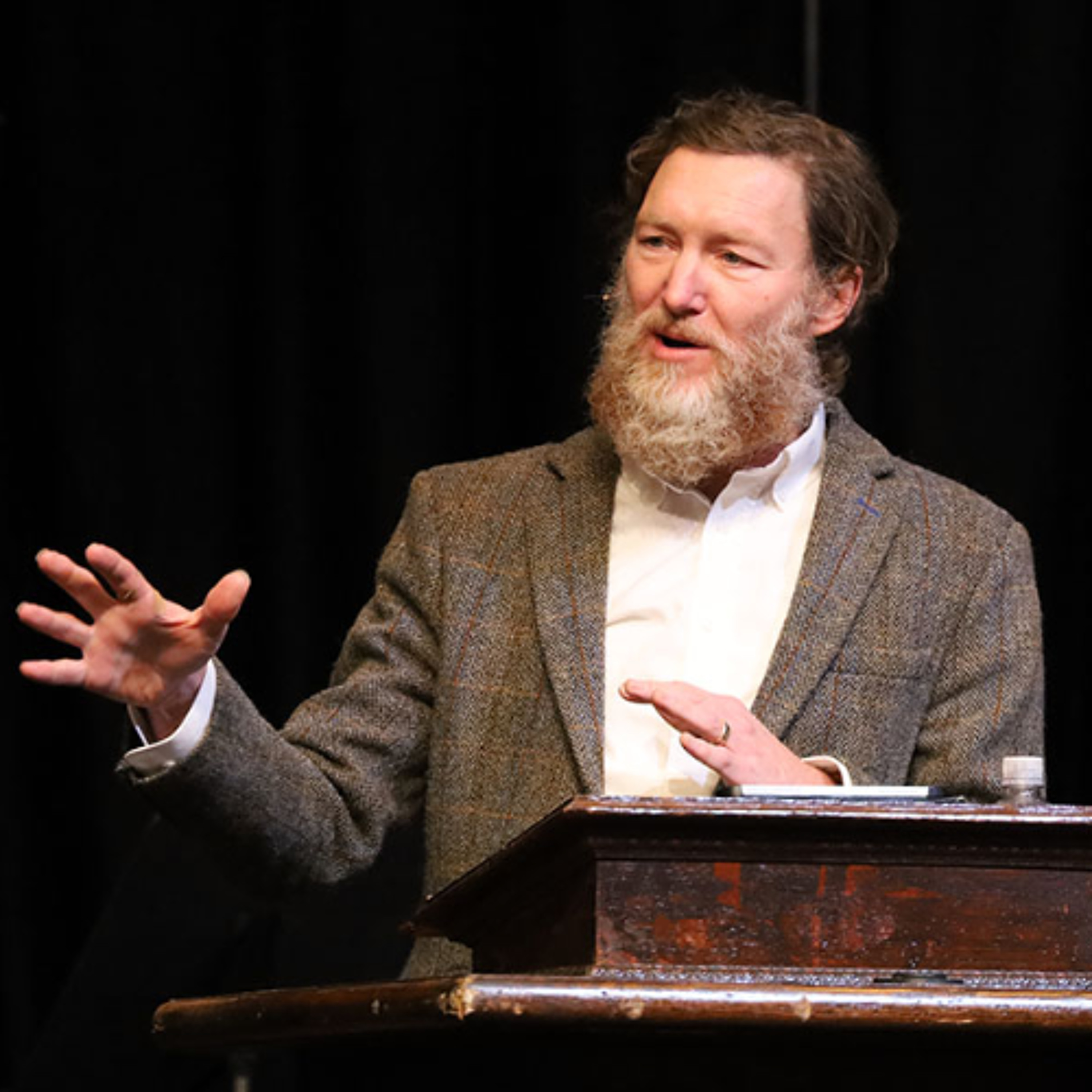 Wounds in Beauty Glorified