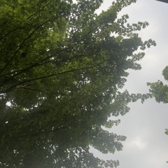 prosper 3 butterfly effect :(</3