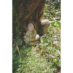 숲의 흔적(Trace of Forest)