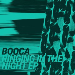 Booca Feat. Eva - Ringing In The Night