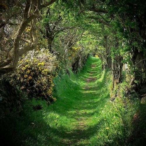 karty (ft. youngestAlan)