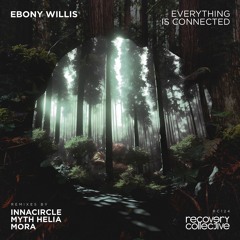 RC124 | Ebony Willis - Fractals (Innacircle Remix)